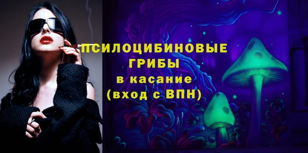 твердый Арсеньев