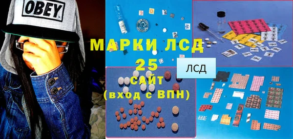 эйфоретик Баксан