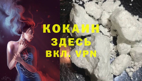 твердый Арсеньев
