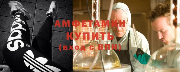 твердый Арсеньев